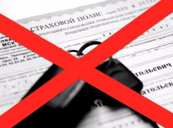 Новые правила регистрации авто очистят рынок от поддельных полисов ОСАГО, - эксперт из Волгодонска