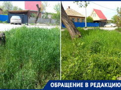 «В этом году решили обойти покос стороной?»: волгодонцы просят скосить траву в старой части города