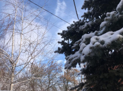 До 14 м/с достигнут порывы ветра сегодня 