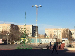 В Волгодонске приступили к монтажу главных новогодних елей