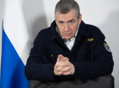 ЛДПР предложила лишать гражданства тех, кто получил паспорт ради льгот и жилья