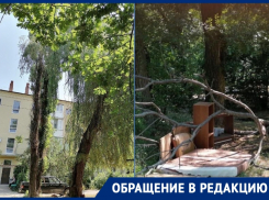 «Аварийные деревья, поломанные качели и лежбище для бомжей»: волгодонцы возмущены состоянием детской площадки на Морской