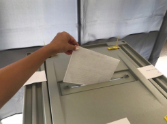 Если вас заставляют голосовать на праймериз «Единой России» - сообщите нам