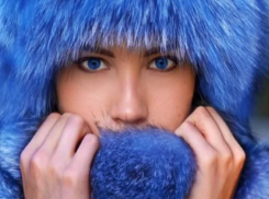 Меховые красавицы едут греть женщин Волгодонска 