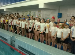 Юные пловцы установили новые рекорды Волгодонска 