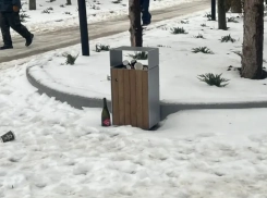 Пешеходный бульвар вдоль сквера «Дружба» превращается в «пьяный»: коммунальщики собирают полные урны пустых бутылок  