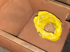 «Сорвал для себя»: в Морозовском районе задержали мужчину с 60 граммами конопли