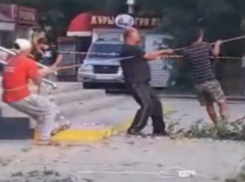 Волгодончанка сняла на видео уничтожение молодых деревьев у магазина «Магнит» 