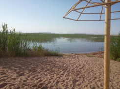 Заросший пляж на В-9 в Волгодонске хотят сдать арендаторам