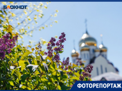 Таким как сегодня,  Волгодонск можно увидеть лишь раз в году