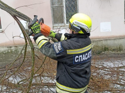 В первые минуты стихии они пришли на помощь: спасателей Волгодонска поблагодарили за содействие в ликвидации последствий циклона