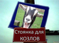  В Волгодонске появятся стоянки для «козлов»