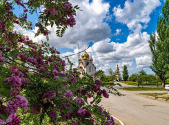 Тепло и солнечно будет в Волгодонске в четверг