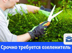 На базу отдыха требуется озеленитель