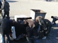 Волгодонцы боролись за просроченные продукты, выброшенные гипермаркетом «Магнит»