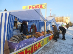 За день волгодонцы скупили на ярмарке 30 тонн еды