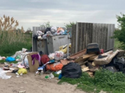 За нескошенный сорняк и навалы мусора в Волгодонском районе накажут садоводов