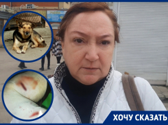 «Так искусали, что я не могла встать»: агрессивные собаки на рынке «Солнышко» напали на волгодончанку
