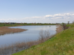 До 22 градусов тепла прогреется воздух в Волгодонске в понедельник