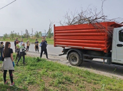 Общегородской субботник пройдет в Волгодонске 