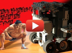 В Волгодонске не на жизнь, а на смерть сразились роботы-сумо