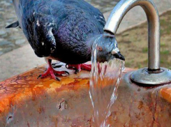 Какой будет погода в выходные 