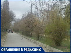 «Есть простой способ  сделать город лучше»: волгодонец