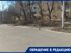 «Сколько еще город будет утопать в ветках?»: из Волгодонска не торопятся вывозить порубочные остатки