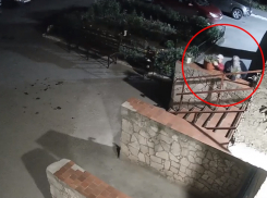 Дерзкое ограбление на Ленина: волгодонцы в солидном возрасте под покровом ночи похитили горшки с цветами