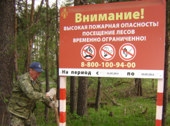 До 27 сентября волгодонцам в лесах будут не рады