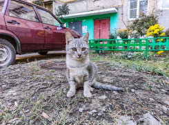 Переменную облачность обещают синоптики в этот четверг 
