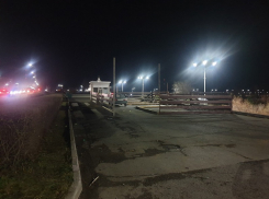  Елочный базар напротив ТРЦ передвинули с парковки для инвалидов