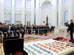 Владимир Путин лично вручил государственную награду учительнице химии из Цимлянска