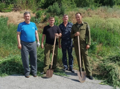 Дикий конопляник обнаружили на окраине Цимлянска