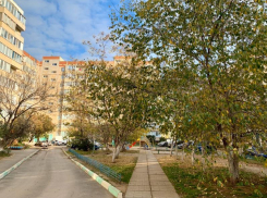 Солнечно и морозно будет в праздничный день в Волгодонске 