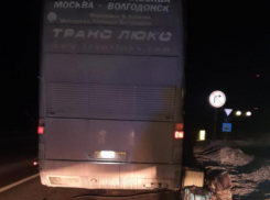 Автобус с пассажирами из Волгодонска застрял на воронежской трассе в мороз