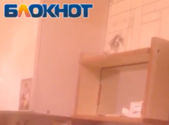 Таинственный барабашка почти неделю по ночам трепал нервы волгодонцам