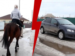 Конь или авто: на чем передвигаться по убитым дорогам Волгодонска