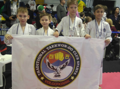 Высокие награды завоевали волгодонские спортсмены на первенстве ЮФО по тхэквондо 