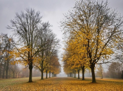 Начало недели в Волгодонске будет по-летнему теплым