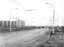 «Наперсточники и сигнальные листки под дворниками»: как выглядел нелегальный авторынок на Ленинградской