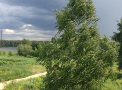 Пятница в Волгодонске будет прохладной и ветреной