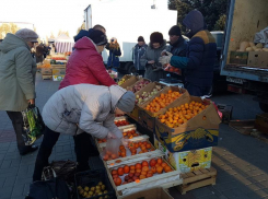 В Волгодонске назвали даты проведения ярмарок свежих продуктов