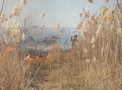 Штрафы за выжигание сухой растительности в пожароопасный период могут получить волгодонцы 
