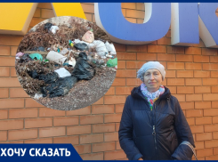 Собаки, крысы и гниль: свалка в садоводстве «Машиностроитель» портит жизнь волгодонцам 
