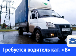 В Волгодонске на работу приглашают непьющего водителя категории «В»
