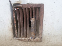В Волгодонске сантехник «замуровал» кошек в подвале жилого дома