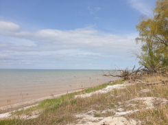 Волгодонцев ожидает солнечный понедельник