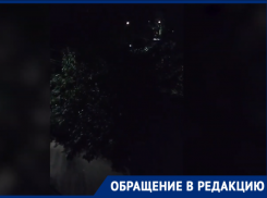 «Ночью чуть не загрызли мужчину»: свора агрессивных собак держит в страхе волгодонцев 