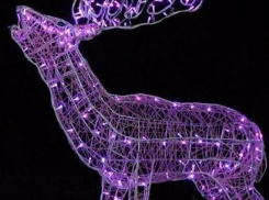 В Волгодонске на «пятом» установят светящиеся в темноте фигуры животных